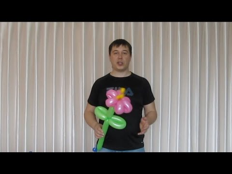 Видео: Шестилепестковый из шдм