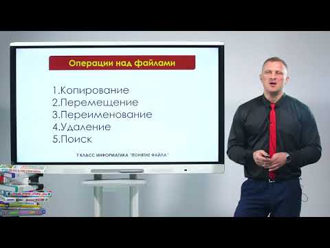 Видео: 7 класс. Информатика. Понятие файла