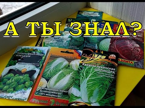 Видео: ВСЁ о КАПУСТЕ: сорта, сроки посева, особенности выращивания👍👍👍