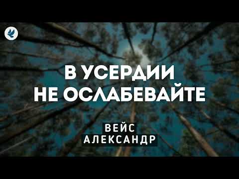 Видео: В усердии не ослабевайте. Вейс А.И. Проповедь МСЦ ЕХБ