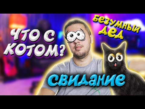 Видео: СМЕШНЫЕ ИСТОРИИ ИЗ ЖИЗНИ ЮТУБЕРА ( что с котом? свидание и дед с авито )