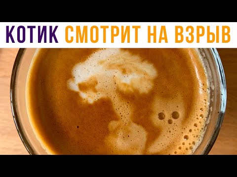 Видео: Сварил кофе, а там... | Приколы | Мемозг #464
