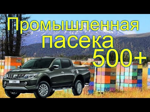 Видео: Промышленная пасека Белоруси в 500 семей /часть 1