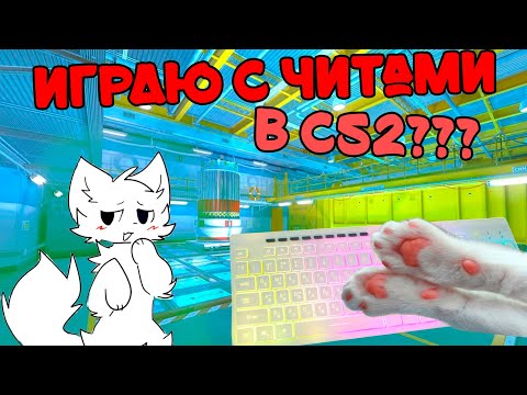 Видео: Я играю с ЧИТАМИ в кс2? Лапками! 😸🐾