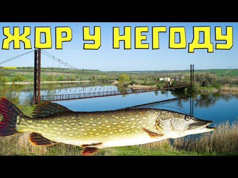 Видео: ⚠️РІЧКА РАЙ Для Рибалки - Осінній ЖОР ЩУКИ