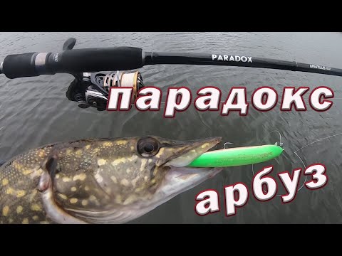 Видео: Цвет АРБУЗ РАБОТАЕТ Поздней осенью!!! Выбор спиннинга для твичинга воблеров!