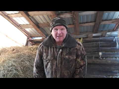 Видео: Сено зерно драбилка .