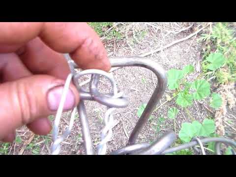 Видео: ОБЗОР КАПКАНА КП 250