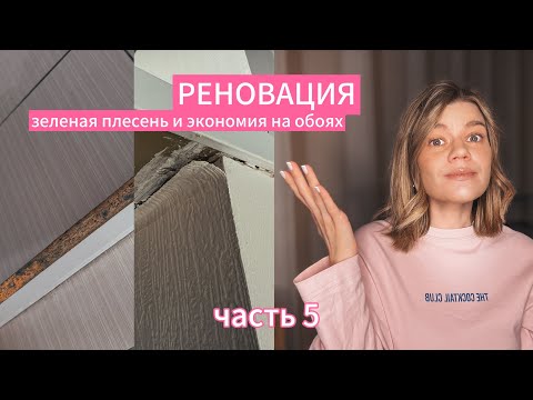 Видео: НАШЛИ ПЛЕСЕНЬ В КВАРТИРЕ ПО РЕНОВАЦИИ. 90 дней после потопа, ремонт не закончен, что дальше?