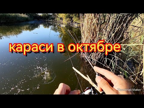 Видео: Мормышинг.Ловлю карасей,а поплавочники говорят не клюёт 😁.