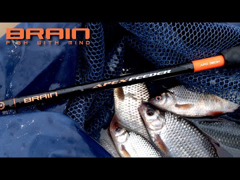 Видео: Обзор обновленного фидерного удилища Brain Apex New