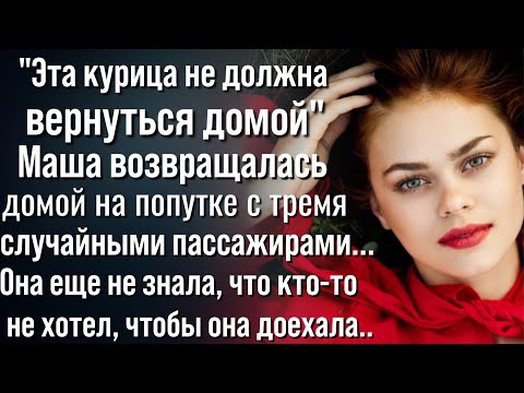 Видео: (Не) случайные попутчики. Ольга Крылова