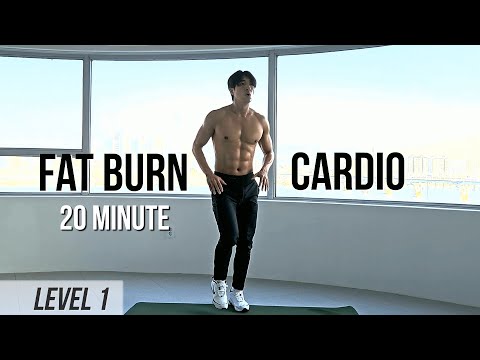 Видео: 20-минутное кардио с собственным весом для сжигания жира (уровень 1) Fat-Burning Bodyweight Cardio