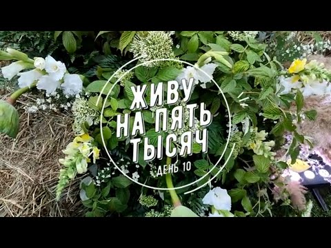 Видео: ЖИВУ НА 5 000 С ДВУМЯ ДЕТЬМИ. ДЕНЬ 10, ПОСЛЕДНИЙ