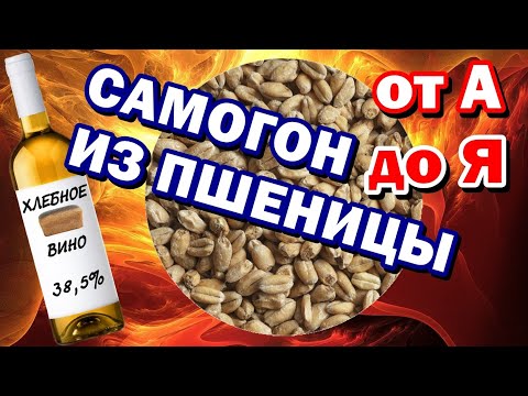 Видео: САМОГОН ИЗ ПШЕНИЦЫ от А до Я - СОЛОД + БРАГА  Отбор голов - ВКУСНЫЙ САМОГОН