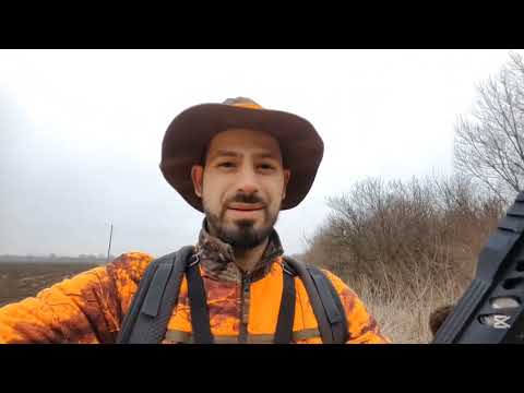 Видео: еп.4 Лов на хищници в дивата природа (хайка)- Вълнуващи моменти