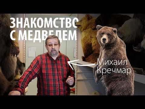 Видео: О медведях. Михаил Кречмар