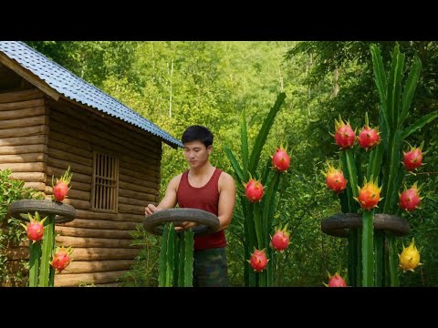 Видео: Умелыми руками генеральный директор превратил бесплодную землю в пышный зеленый сад.