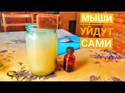 Видео: Как избавиться от Мышей! Мне помог этот самодельный раствор.