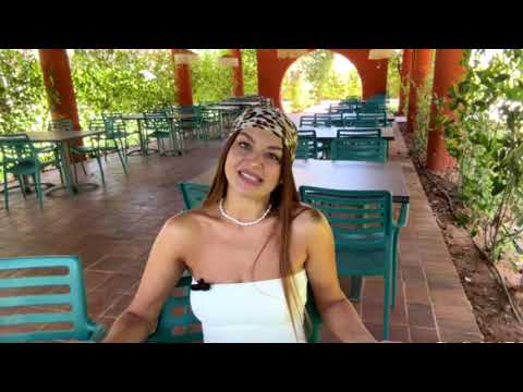 Видео: ЛЮБОВ ТА ВІЙНА: Холостячка