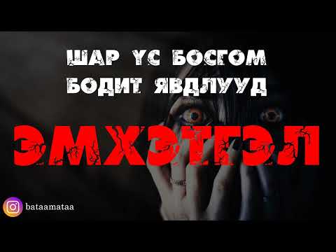 Видео: Шар үс босгом бодит явдлууд /Эмхэтгэл/
