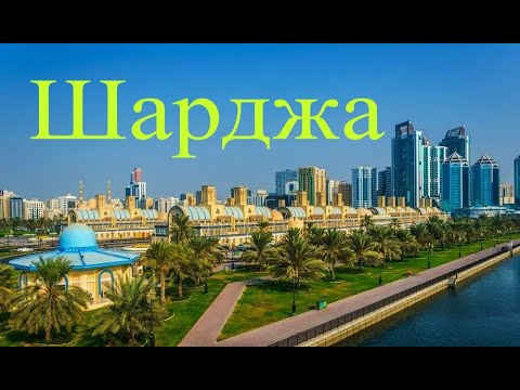 Видео: Шарджа пересадка 16 часов
