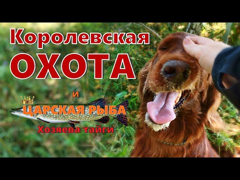 Видео: ХОЗЯЕВА ТАЙГИ. Королевская охота и царская рыба!