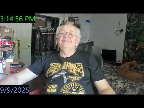 Видео: Чем хорош и чем плох дом, в котором живет доктор и собаки