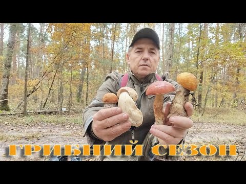 Видео: ДЕНЬ ХЛІБА   ГРИБАЛКА ТРИВАЄ   16,10,2025Р  БІЛЯКИ,,,ПІДОСИЧНИКИ,,,