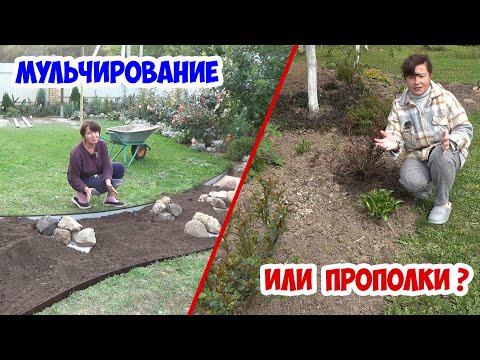 Видео: Как я содержу в чистоте цветники без мульчи? И почему я отказалась от мульчирования?