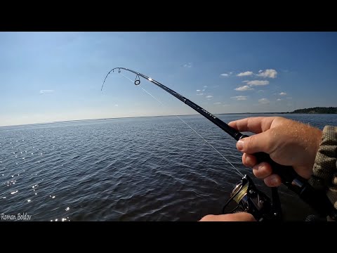 Видео: ВЕЗДЕ СЕТИ НО СУДАК КЛЮЕТ! Ловля судака на Джиг. Рыбалка на судака в сентябре. Спиннинг с лодки.
