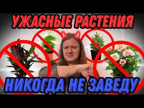 Видео: НИКОГДА БОЛЬШЕ НЕ ЗАВЕДУ ЭТИ РАСТЕНИЯ ДОМА