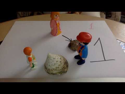 Видео: Закон принадлежности. Полевая задача.