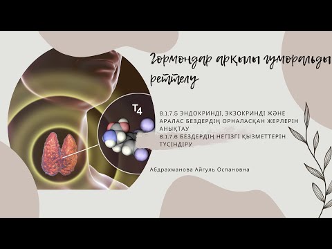 Видео: Гормондар арқылы гуморальды реттелу 8-сынып. 9-Бөлім. Координация және реттелу