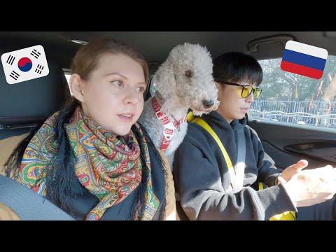 Видео: Весенний влог: встретили папу Чимина в Пусане. Катя и Кюдэ/Южная Корея