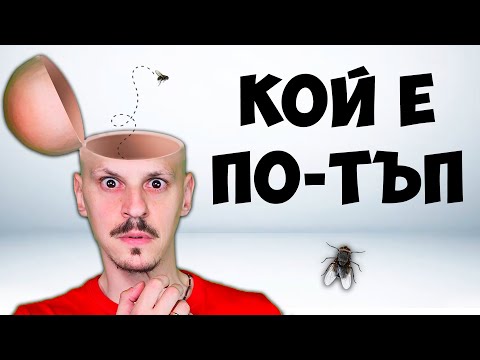 Видео: КОЙ Е ПО-ТЪП Challenge / ЗАГАДКИ