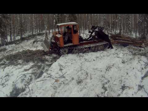 Видео: 31.01.2017 Чокеровка