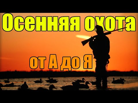 Видео: Осенняя охота на пернатую дичь от А до Я!