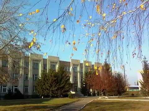 Видео: Мой город Калачинск!