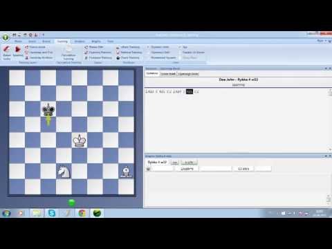 Видео: МАТ КОНЕМ И СЛОНОМ ИГРА С КОМПЬЮТЕРОМ!