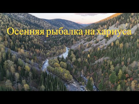 Видео: Осенняя рыбалка на хариуса | Поход в дикие места на выходные