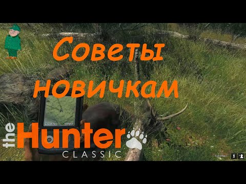 Видео: theHunter Classic. Советы новичкам.