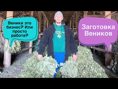 Видео: Веники это бизнес или работа?| Заработки на вениках| заготовка Веников