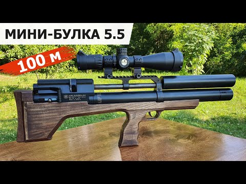Видео: МИНИ-БУЛКА 5.5 КРЮГЕРА I 62 СМ I JSB 1.175 ОТСТРЕЛ НА 100 М