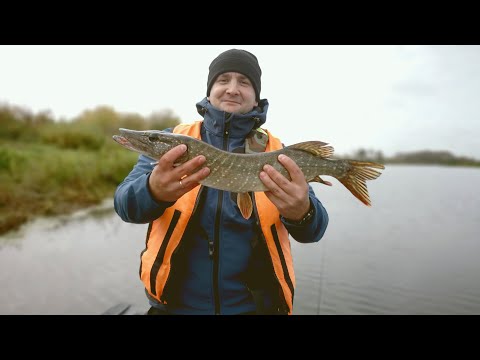 Видео: Рыбалка на Оке протока Ниверга (октябрь 2023)