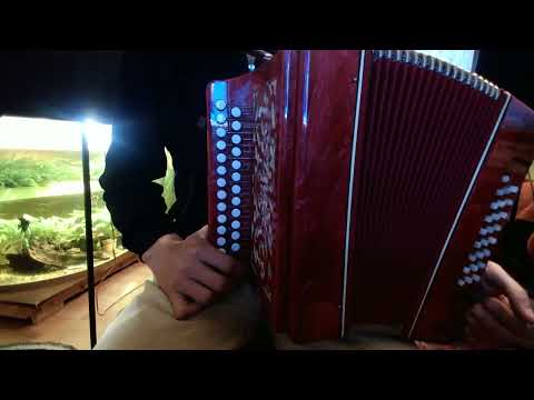 Видео: Два лёгких упражнения для начинающих гармонистов.