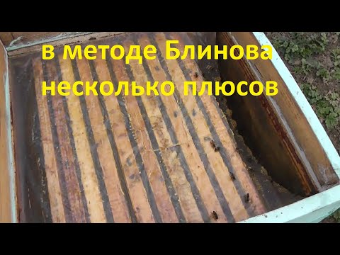 Видео: О методе Блинова