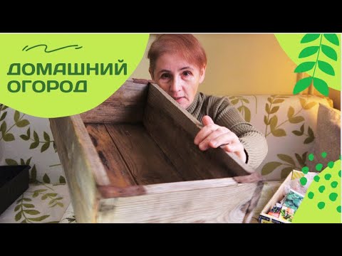 Видео: Новый год с зеленью: шпинат, базилик и не только!