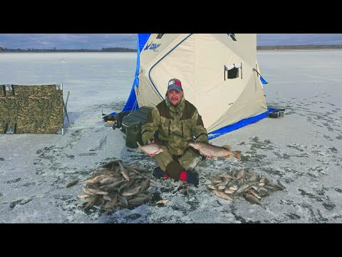 Видео: ЗИМНЯЯ РЫБАЛКА НА ДВОЕ СУТОК.ТАКОГО КЛЕВА У МЕНЯ ЕЩЕ НЕ БЫЛО.РЫБАЛКА С ПАЛАТКОЙ В КОМФОРТЕ