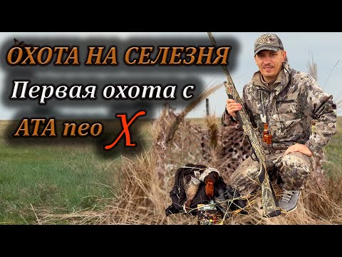 Видео: Охота на селезня. Первая охота с ATA neo X. Закрытие весенней охоты. #охотанауток #hunting #охота